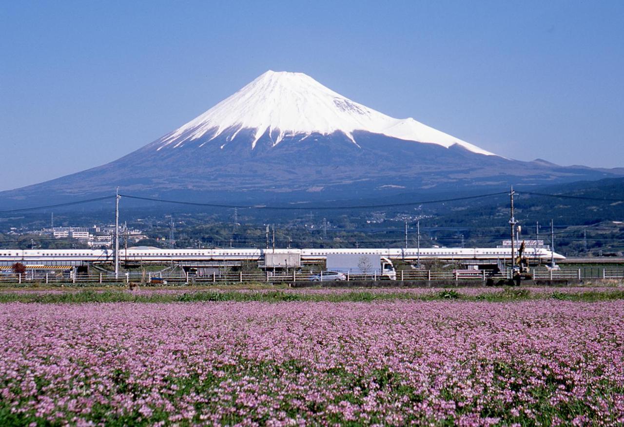 Business Hotel Sunpu Shizuoka Exterior photo